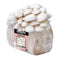 Organic Snow Oyster Mushroom Grow Kit Fruiting Block